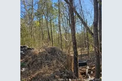 737 N Vass Road, Raeford, NC 28376 - Photo 7