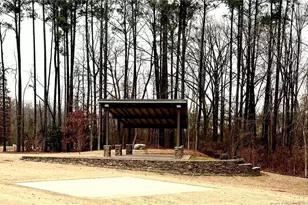 21 Shoreline Dr, Lillington, NC 27546 - Photo 23