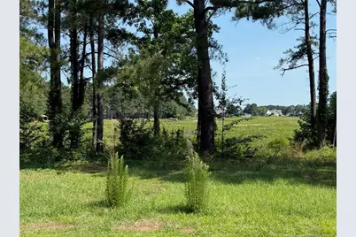 1159 Greenbriar Drive, Vass, NC 28394 - Photo 5