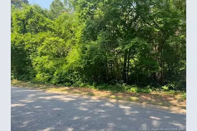 Vac North Street, Fayetteville, NC 28301 - Photo 1