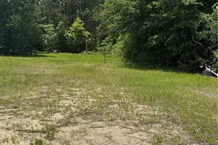 234 Draughone Ave, Fayetteville, NC 28306 - Photo 19