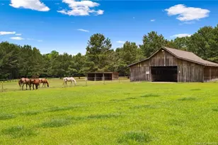 330 Wellington Rd, Saint Pauls, NC 28384 - Photo 37