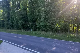 0 Lemon Springs Rd, Sanford, NC 27330 - Photo 1