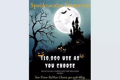 4049 Fulford McMillan Road, Raeford, NC 28376 - Photo 29