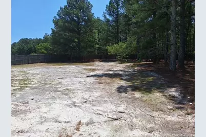 19 Ribbon Oak Court, Sanford, NC 27332 - Photo 27