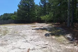 19 Ribbon Oak Ct, Sanford, NC 27332 - Photo 27