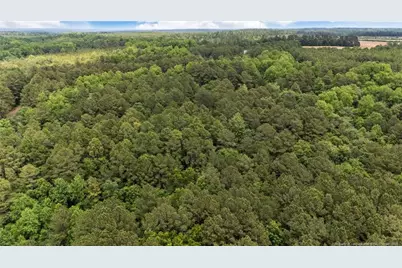 111 Millstone Court, West End, NC 27376 - Photo 5