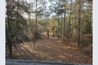 409 Thimbleberry Drive, Vass, NC 28394 - Photo 47