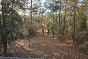 409 Thimbleberry Dr, Vass, NC 28394 - Photo 47