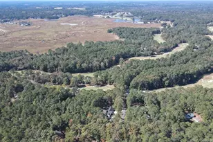 409 Thimbleberry Dr, Vass, NC 28394 - Photo 49