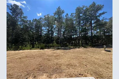 528 Traveller Way, Raeford, NC 28376 - Photo 21