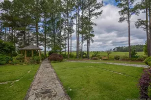 1064 Tresses Ct, Vass, NC 28394 - Photo 11