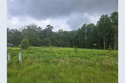 Blue Springs Road, Red Springs, NC 28377 - Photo 11