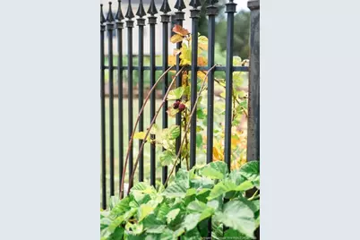 2847 Pickard Rd. Road, Sanford, NC 27330 - Photo 31