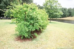 2847 Pickard Rd Rd, Sanford, NC 27330 - Photo 37