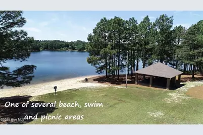 103 Sandspur Lane, West End, NC 27376 - Photo 47