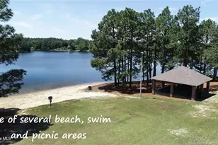 103 Sandspur Ln, West End, NC 27376 - Photo 47