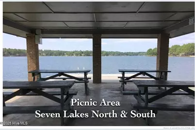 103 Sandspur Lane, West End, NC 27376 - Photo 45