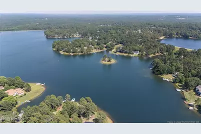 103 Sandspur Lane, West End, NC 27376 - Photo 49