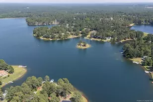 103 Sandspur Ln, West End, NC 27376 - Photo 49