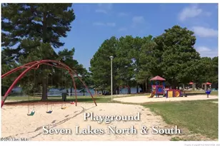 103 Sandspur Ln, West End, NC 27376 - Photo 43