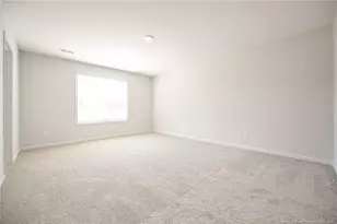 2009 Black Bear Ct, Hope Mills, NC 28348 - Photo 19