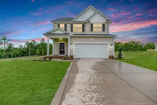 21 Blackgum Ct, Spring Lake, NC 28390 - Photo 3