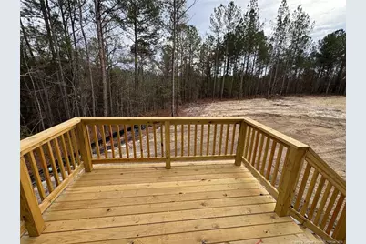 145 Horse Trot Lane, Sanford, NC 27332 - Photo 3