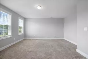 110 Thunder Valley Dr, Lillington, NC 27546 - Photo 43