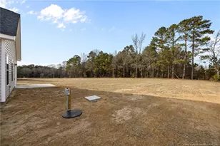 369 Hookbill Ln, Lillington, NC 27546 - Photo 35