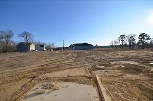 372 Hookbill Ln Lot 106, Lillington, NC 27546 - Photo 19