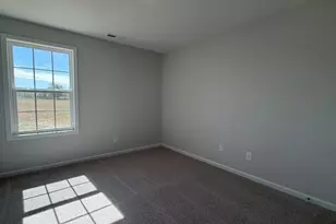 441 Black Duck Ln, Lillington, NC 27546 - Photo 29