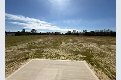 441 Black Duck Lane, Lillington, NC 27546 - Photo 31