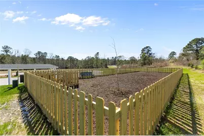 441 Black Duck Lane, Lillington, NC 27546 - Photo 41