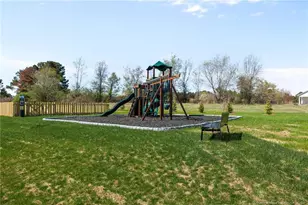 441 Black Duck Ln, Lillington, NC 27546 - Photo 45