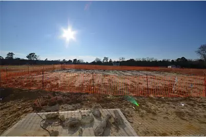 441 Black Duck (Lot 101) Lane, Lillington, NC 27546 - Photo 13