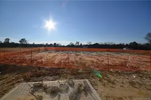 441 Black Duck Ln Lot 101, Lillington, NC 27546 - Photo 13