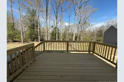 416 Black Duck Lane, Lillington, NC 27546 - Photo 31