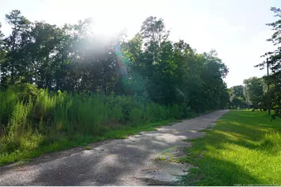 Lot 6 Lakeview Drive, Red Springs, NC 28377 - Photo 1