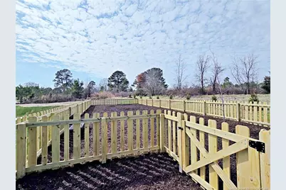 356 Hookbill Lane, Lillington, NC 27546 - Photo 39