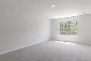 3121 Platinum Cir, West End, NC 27376 - Photo 19