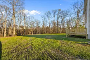 482 Black Duck Ln, Lillington, NC 27546 - Photo 27