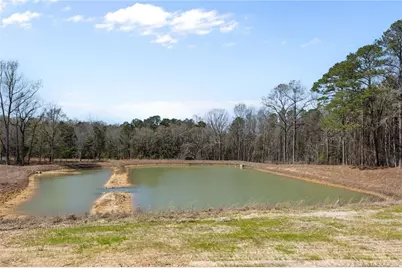 339 Hookbill Lane, Lillington, NC 27546 - Photo 27