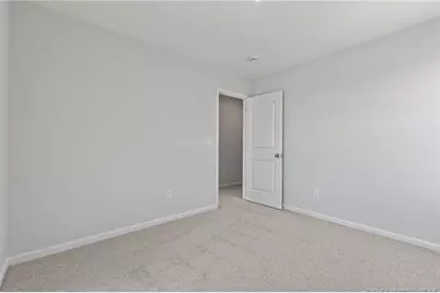 339 Hookbill Lane, Lillington, NC 27546 - Photo 21