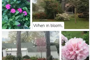 415 E 3rd Ave, Red Springs, NC 28377 - Photo 41