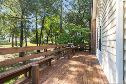 255 Sarason Place, Vass, NC 28394 - Photo 41