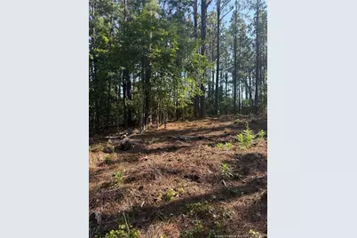 Tbd Stephanie Street, Southern Pines, NC 28387 - Photo 5