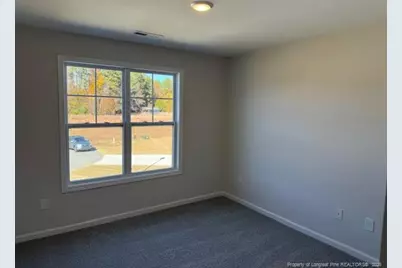 110 Mossy Bridge Court, Lillington, NC 27546 - Photo 17