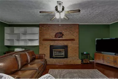 994 Great Marsh Church Road, Saint Pauls, NC 28384 - Photo 19