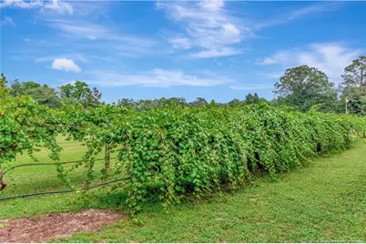1004 Iona Street, Fairmont, NC 28340 - Photo 23